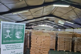 kurma saudi