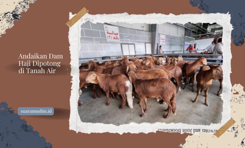 Andaikan Dam Haji Dipotong di Tanah Air