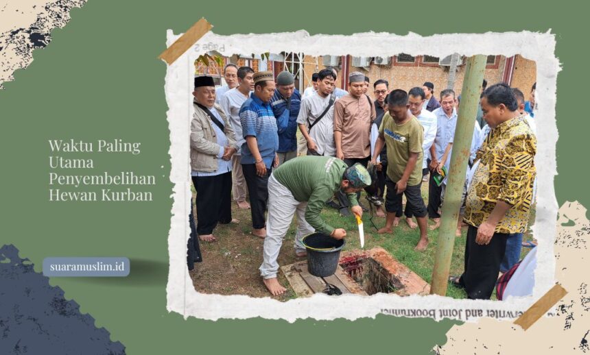 Waktu Paling Utama Penyembelihan Hewan Kurban